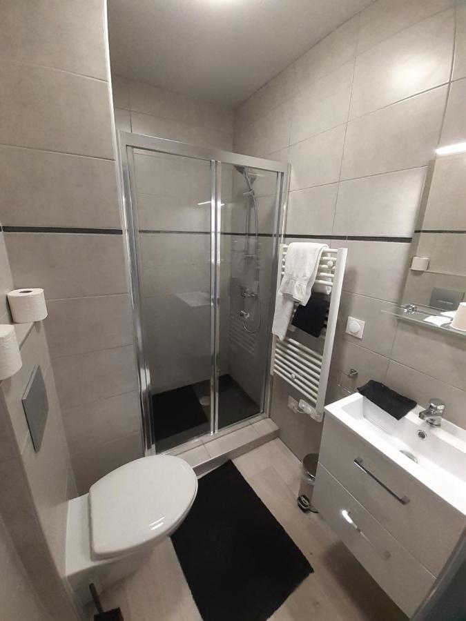 Les Appartements Du Saint Hubert Arcis-sur-Aube Buitenkant foto