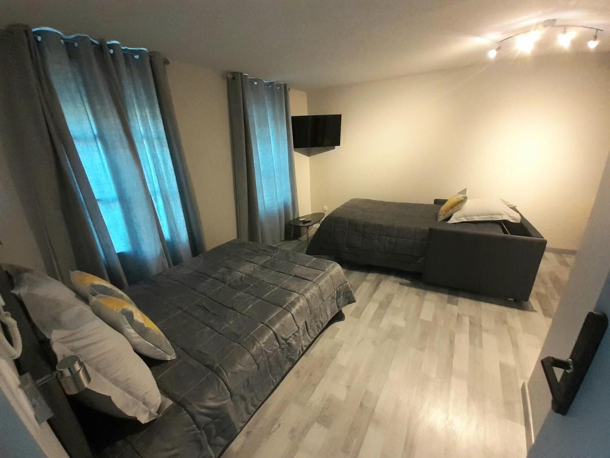 Les Appartements Du Saint Hubert Arcis-sur-Aube Buitenkant foto